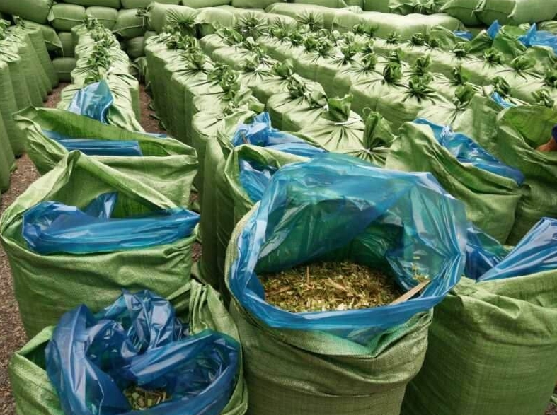 ţ������