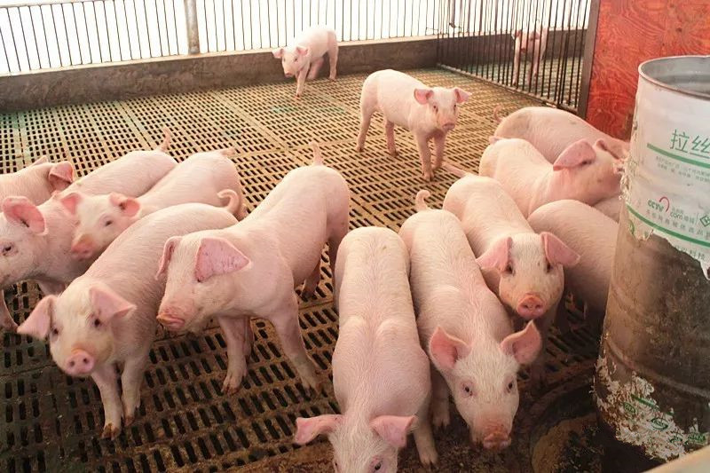 �ͻ�����