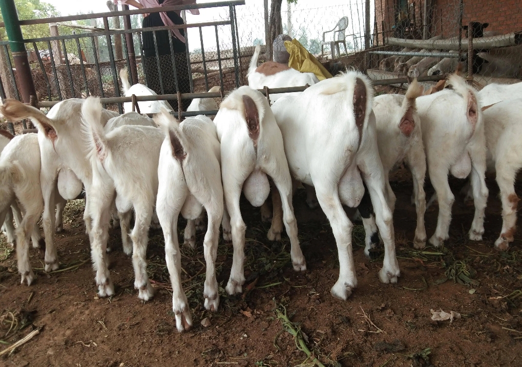 �ͻ�����