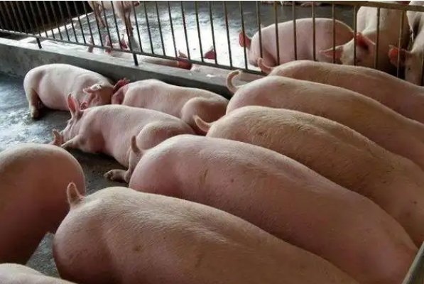 �ͻ�����