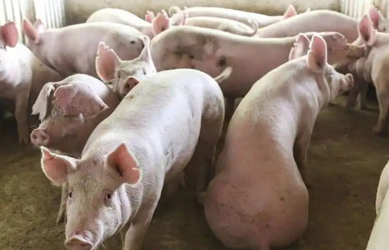 <b>����������������Ҫ��</b>