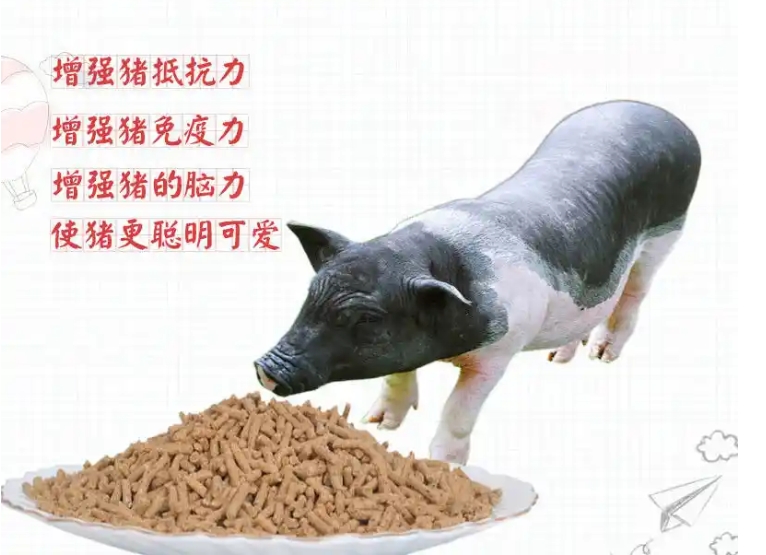 <b>��������������������ҵ����</b>