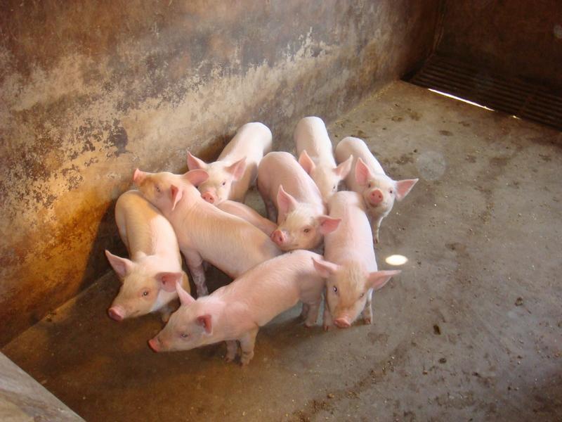 �����˵��������飬��ѡ����������ģʽ��