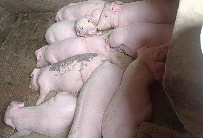 <b> ��������ҵ��չ���ƣ��Ƽ������µ�ת������</b>