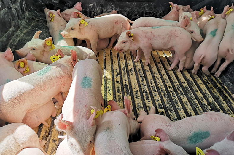 <b>���������Ӽ���ʹ����Ч������</b>